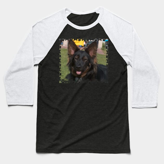 Blaze the Dog Baseball T-Shirt by Nicole Gath Photography